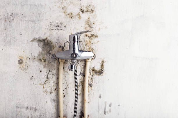 Best Mold Damage Repair  in Mcloud, OK