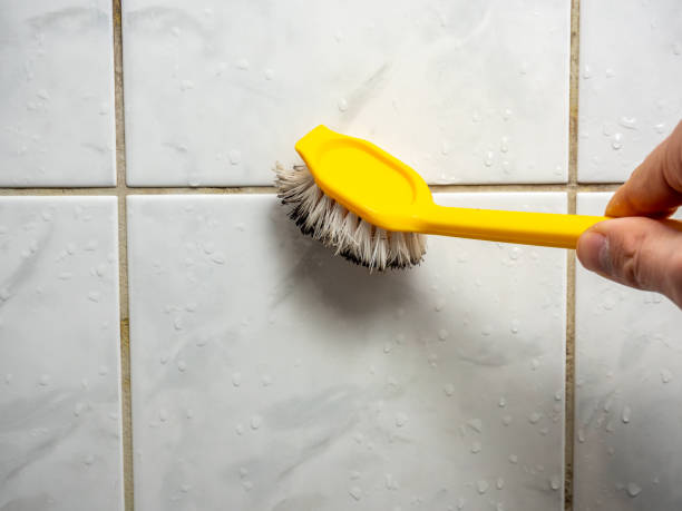 Best Toxic Mold Removal  in Mcloud, OK