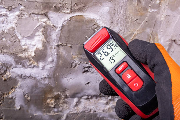 Best Professional Mold Removal  in Mcloud, OK