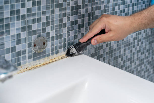 Best Black Mold Removal  in Mcloud, OK