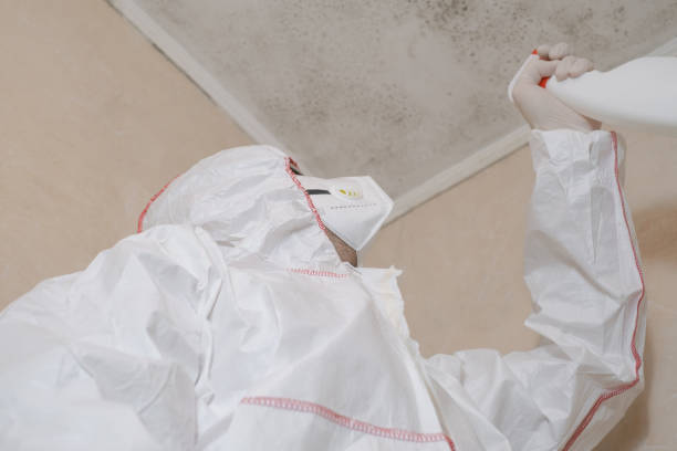 Best Fast Mold Removal  in Mcloud, OK