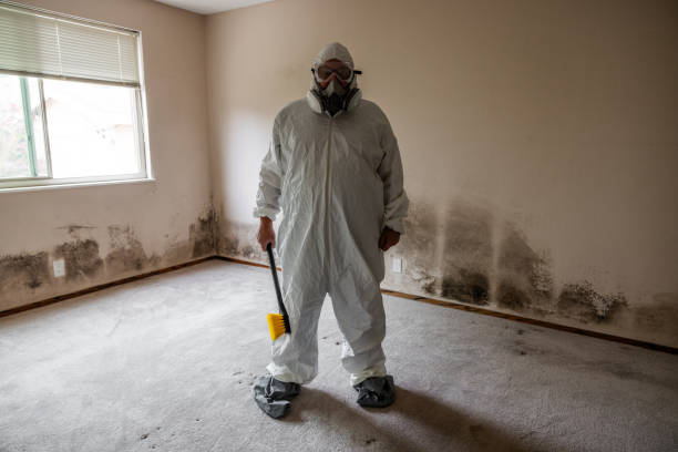 Best Mold Removal Company Near Me  in Mcloud, OK