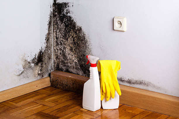 Best Crawl Space Mold Removal  in Mcloud, OK
